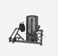 AD015 Leg Press