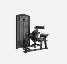 BD-0910  Lower Back/Abdominal Machine