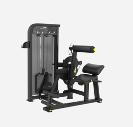 BSL-0910 Lower Back/Abdominal Machine