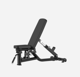 ZH-037 Multi Adjustable Bench