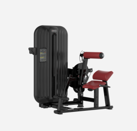 BT8-0910 Lower Back/Abdominal Machine