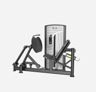 AM10-015  Leg Press