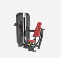 ACF001  Chest Press