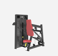 ASN007  Triceps Press