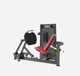 ASN015  Leg Press