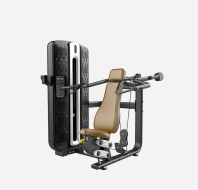 T9-003  Shoulder Press