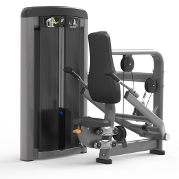 SF90 007 TRICEPS PRESS