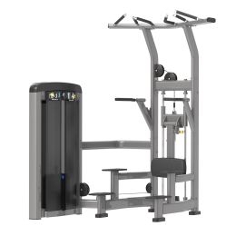 SF90 008 ASSISTED CHIN/DIP