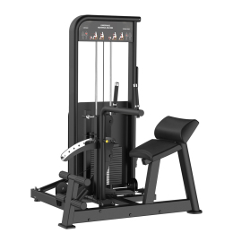 BLY0910 LOWER BACK/ABDOMINAL MACHINE