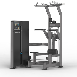 GW008 ASSISTED CHIN/DIP