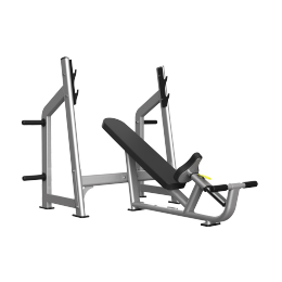 TH025 INCLINE BENCH(LUXURY)
