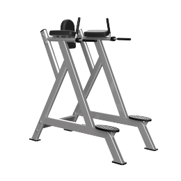 TH027 VERTICAL KNEE RAISE